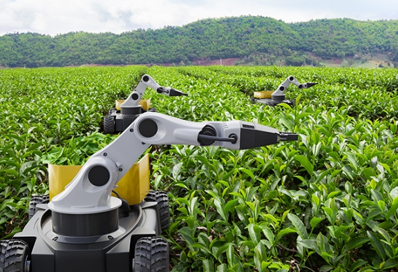ai farming