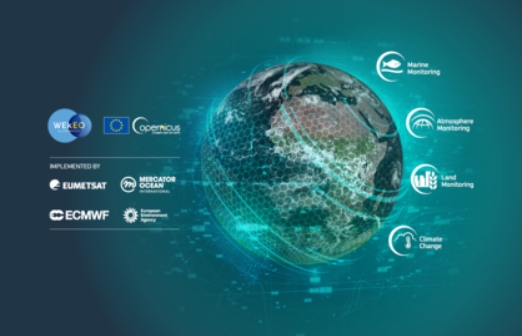 ai for earth