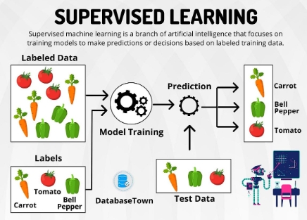 supervised learning in ai