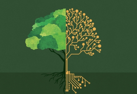 sustainable ai