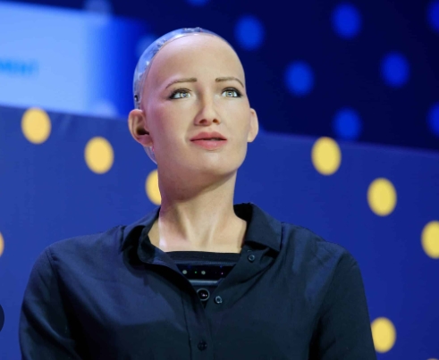 ai sophia