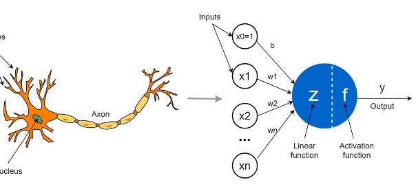 neuron ai