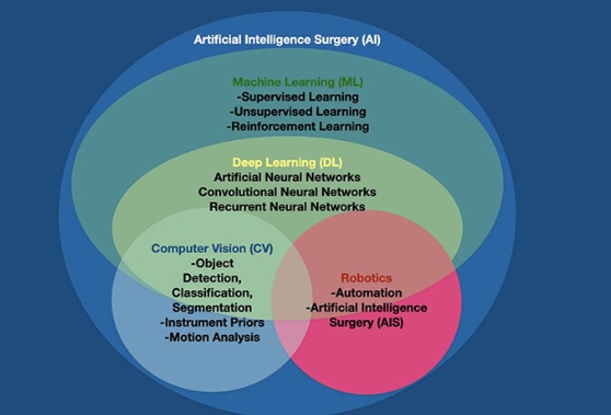 ai ml deep learning