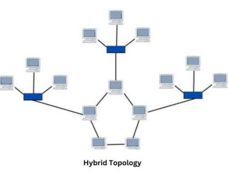 Common LAN Topologies in Computer Networks