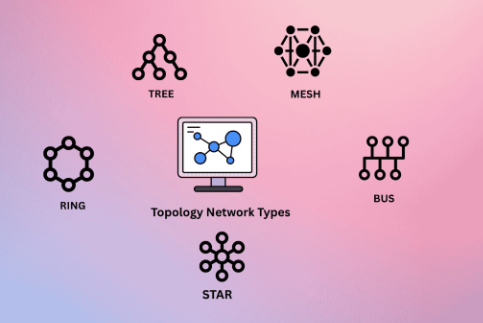 Exploring Types of Network Topology