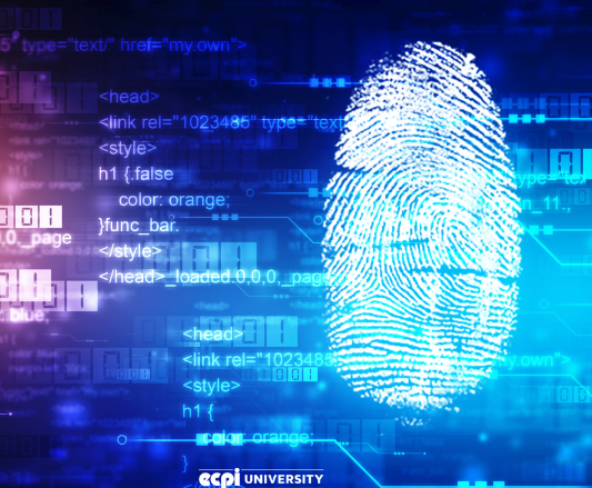 Cyber Security and Digital Forensics Explained