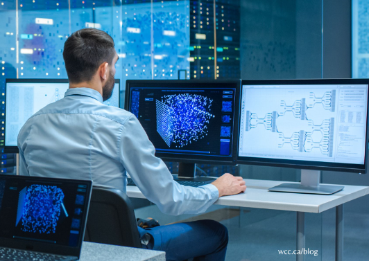 What Does a Network Administrator Do