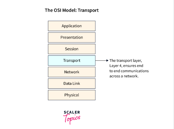 Communication Technology and Transport Layer Functions